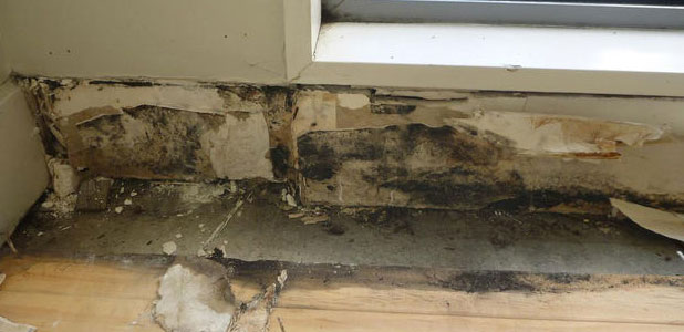 Leaky Home Rot In The Wall